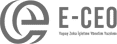 E-CEO