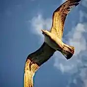 Fotografcilik Egitim Fotograflari