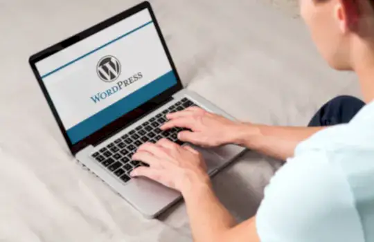 Wordpress Egitimi 2