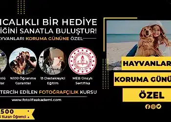 Hayvanları Koruma Günü’ne Özel %50 İndirim!
